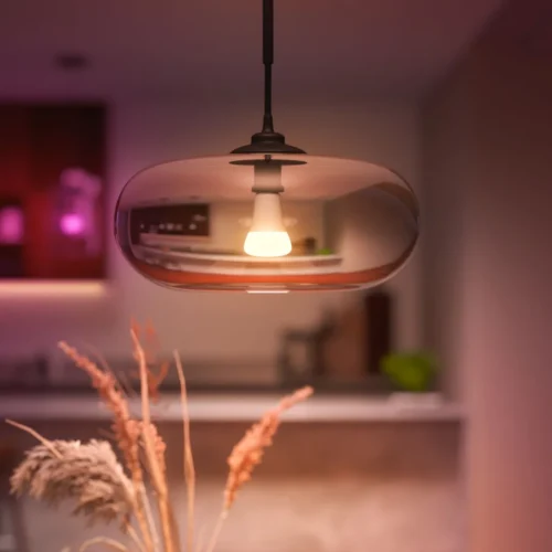 Išmanioji LED lemputė Philips Hue spalvota E27 9,5W 2vnt. - 4