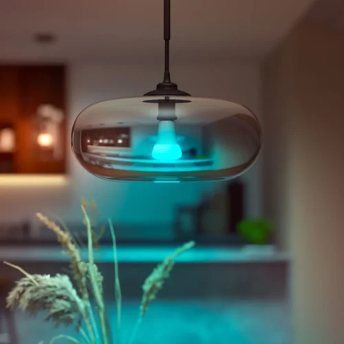 Išmanioji LED lemputė Philips Hue spalvota E27 9,5W 2vnt. - 6