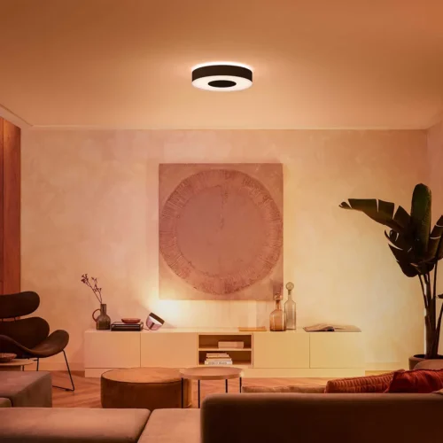 Išmanusis lubinis LED šviestuvas Philips Hue Infuse M spalvota - 7