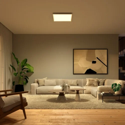 Išmanusis lubinis LED šviestuvas Philips Hue Surimu Square spalvota - 7