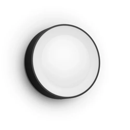 Išmanusis sieninis lauko šviestuvas Philips Hue Daylo spalvota 15W (juodas) - 2